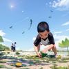 播音彬 范冰冰的彬